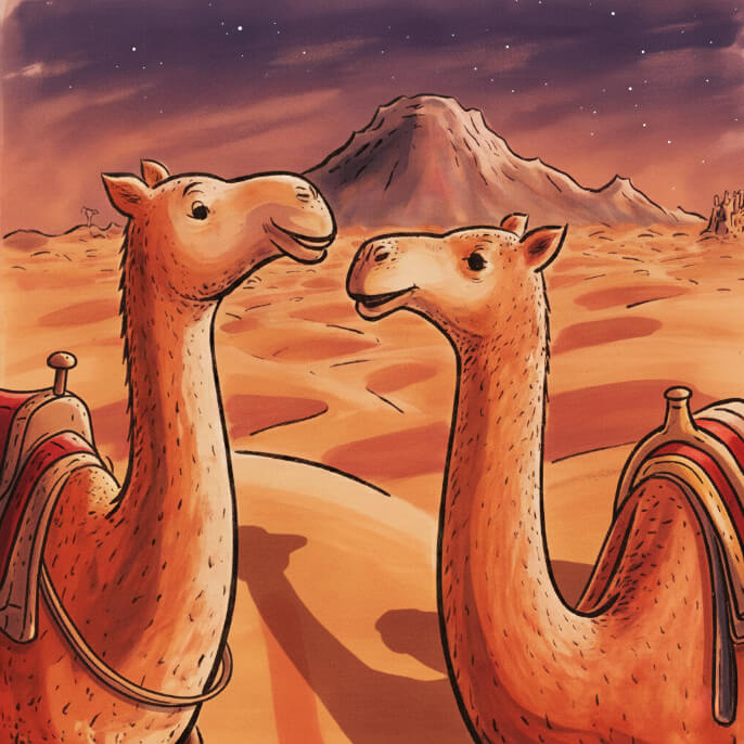 Sahara Desert, Merzouga camel tours in Morocco.