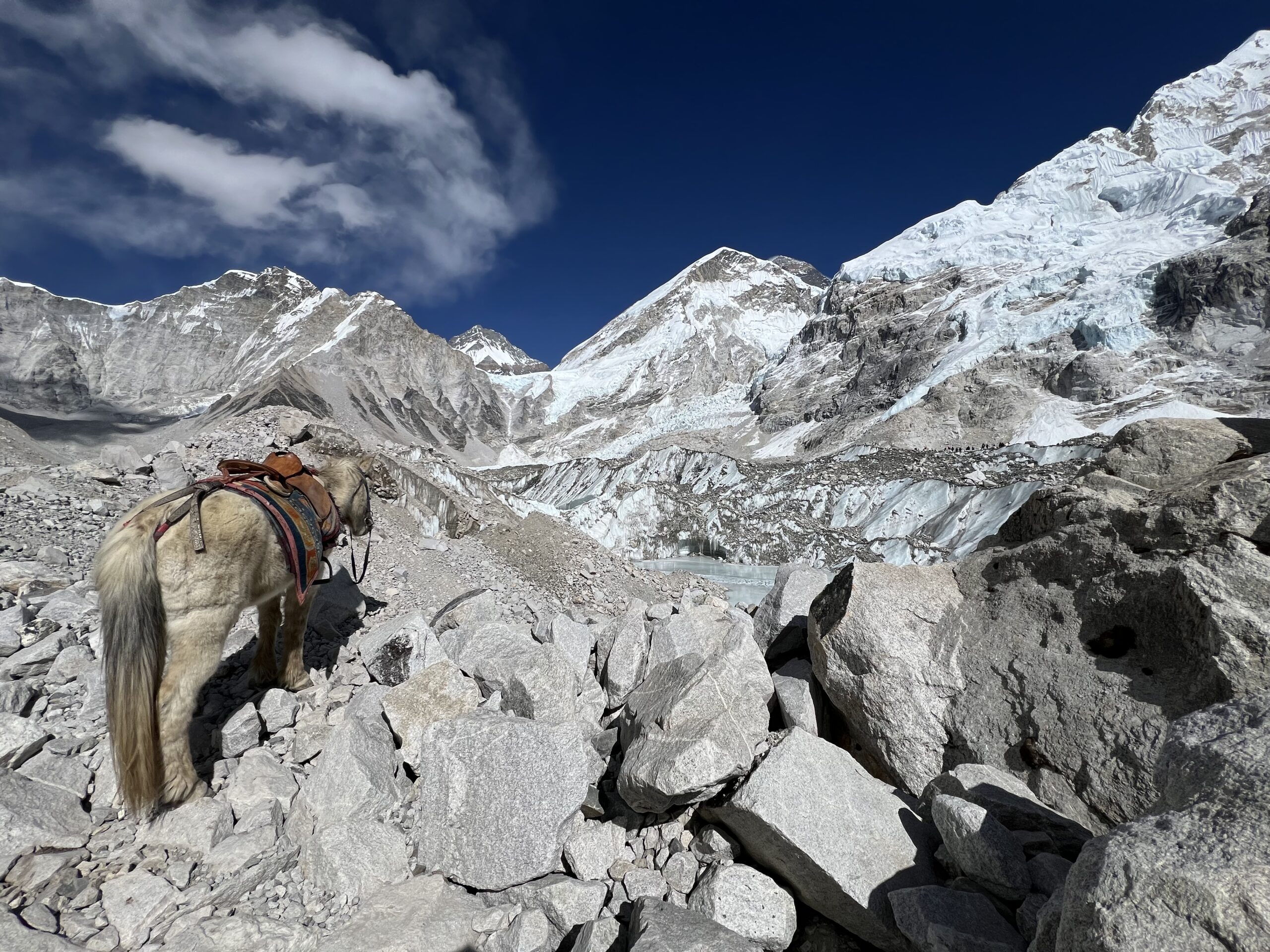 A pony outside Everest Base Camp.
